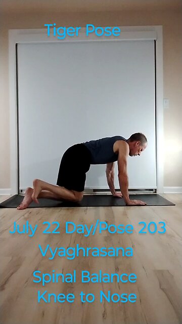 Vyaghrasana / Spinal Balance Knee to Nose / Tiger Pose
