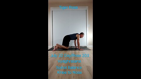 Vyaghrasana / Spinal Balance Knee to Nose / Tiger Pose