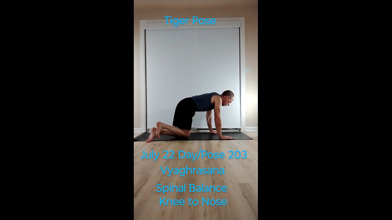 Vyaghrasana / Spinal Balance Knee to Nose / Tiger Pose