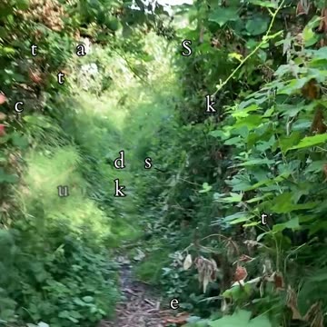 From Ruin To Renewal | Path and Tarot Reading