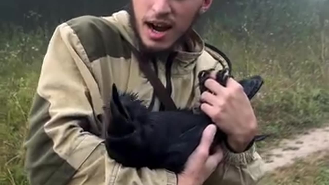 crow responds in the same way