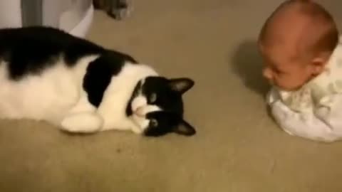 Animals Meeting Babies for the First Time – Cute & Funny Part1