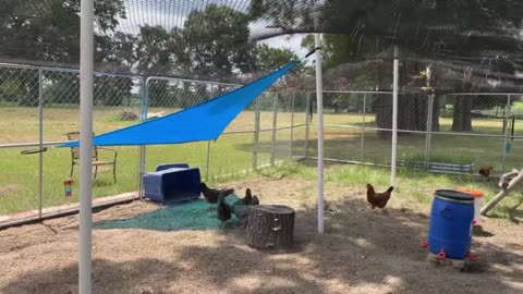 Awesome Sun Shades Amgo 10' x 10' x10'
