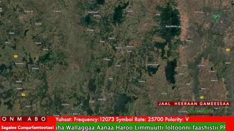 Oduu Galgala ONM-ABO Bitootessa 20-2025 itti dhiyaadhaa!