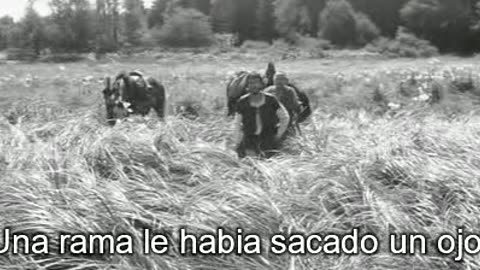 El valle de las abejas