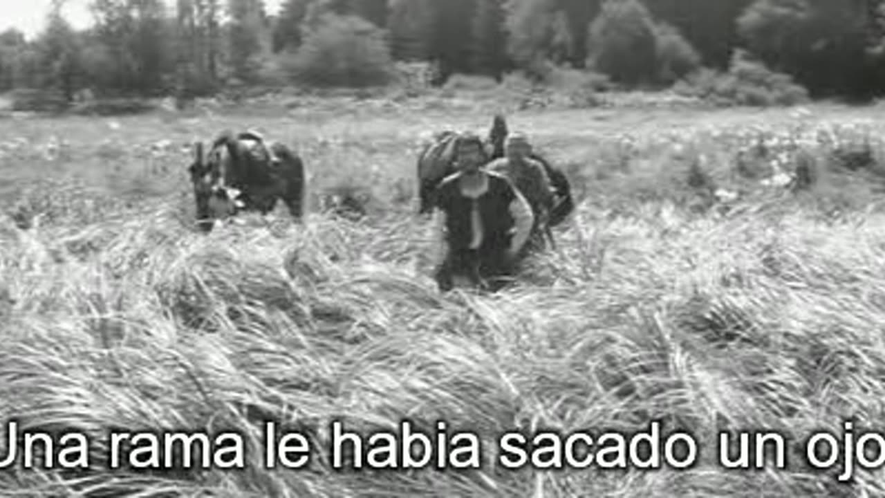 El valle de las abejas