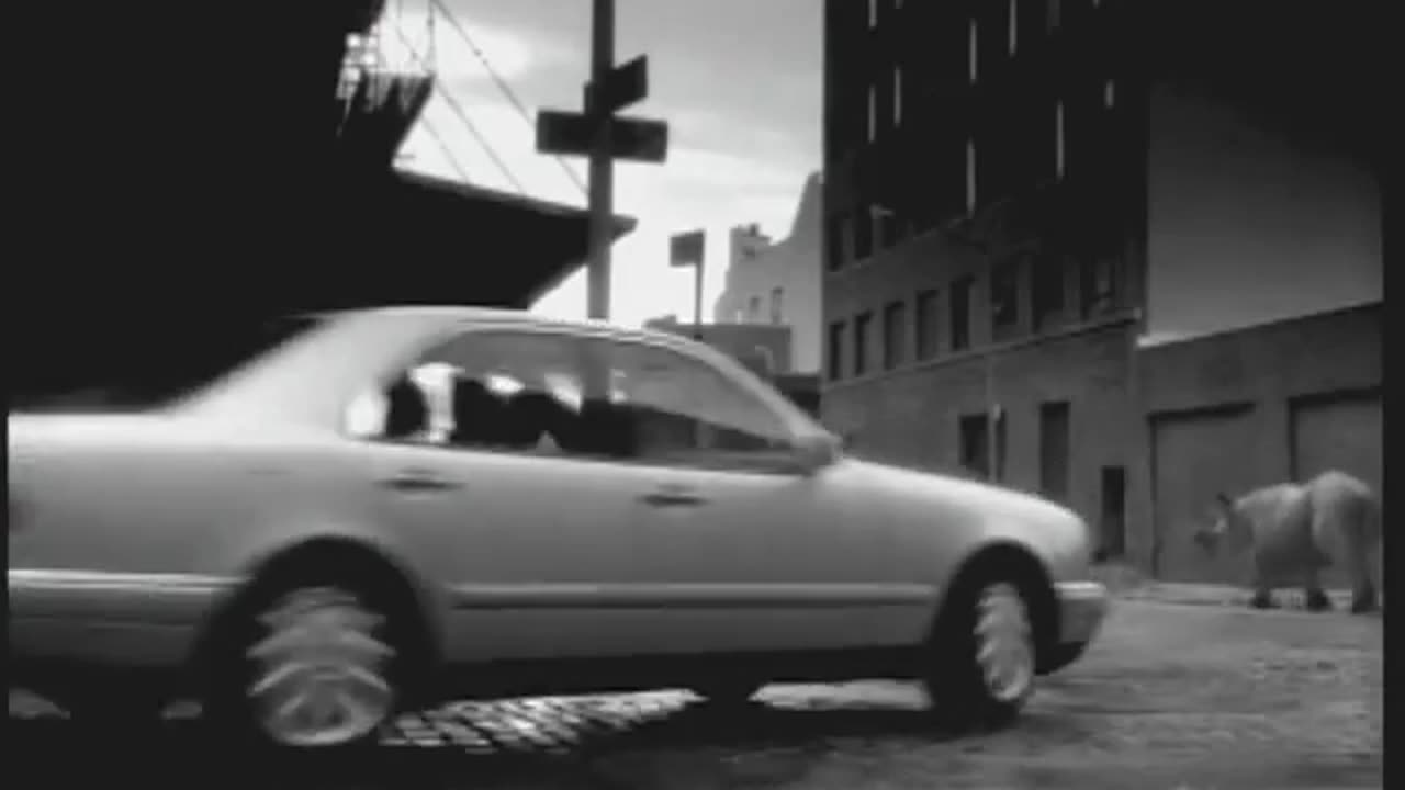 There are Animals on these roads. Mercedes E-Class