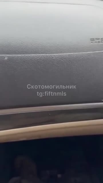 These ones were not so lucky.