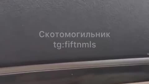 These ones were not so lucky.