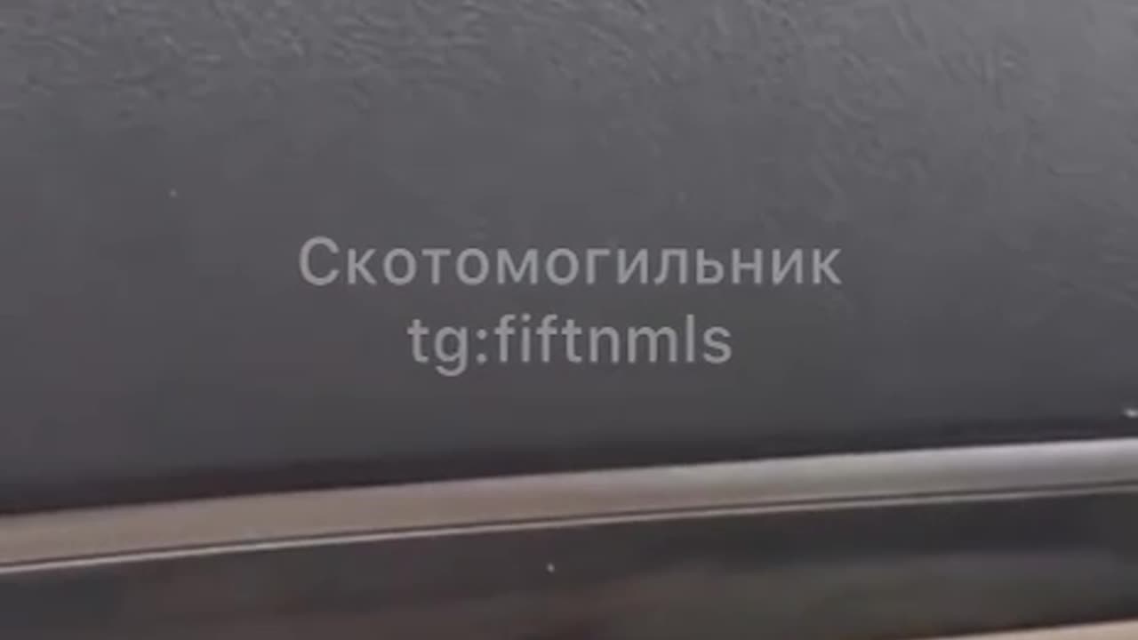 These ones were not so lucky.