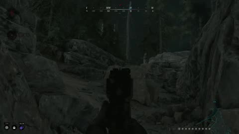 Hunt showdown:1896 good ol night time quickscope