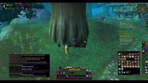 Turtle wow - Melee HC Slow and Steady Hunter - Part 36 - No commentary