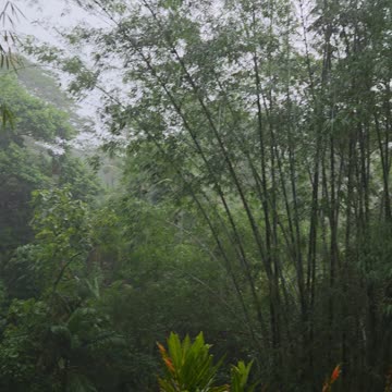 Expat in the Philippines | Another Beautiful Rainy Day 🇵🇭🌧️