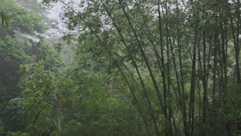 Expat in the Philippines | Another Beautiful Rainy Day 🇵🇭🌧️
