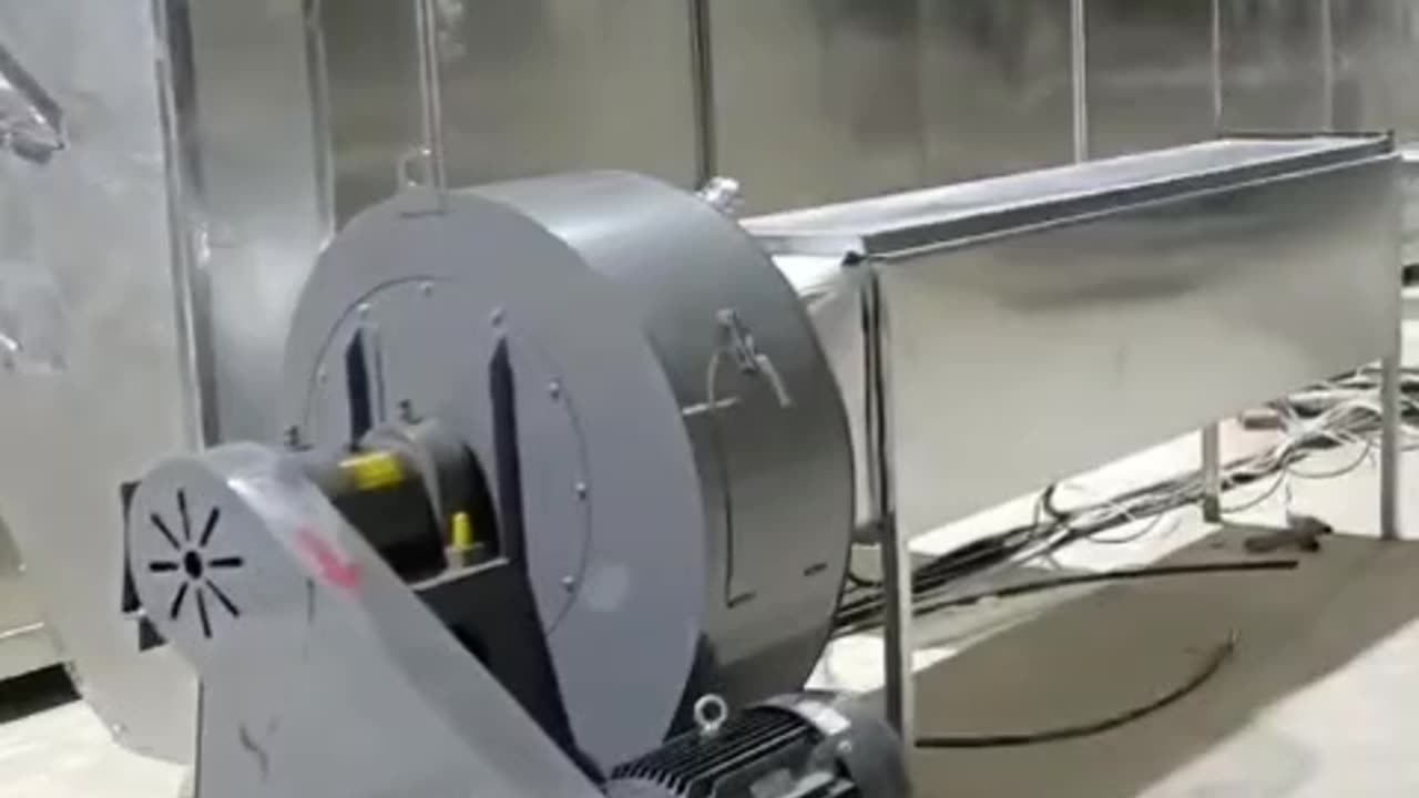 Professional mesh belt dryer