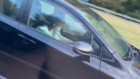 Driver Asleep on the Interstate