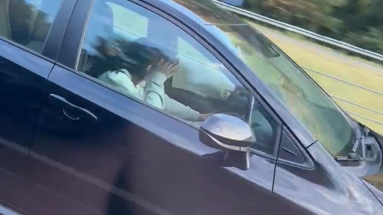 Driver Asleep on the Interstate