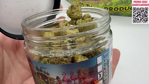 The Ultimate DANK Test/ Punch vs Lemons vs Dynasty from TSB! Dankin with the Flamingos Review!!