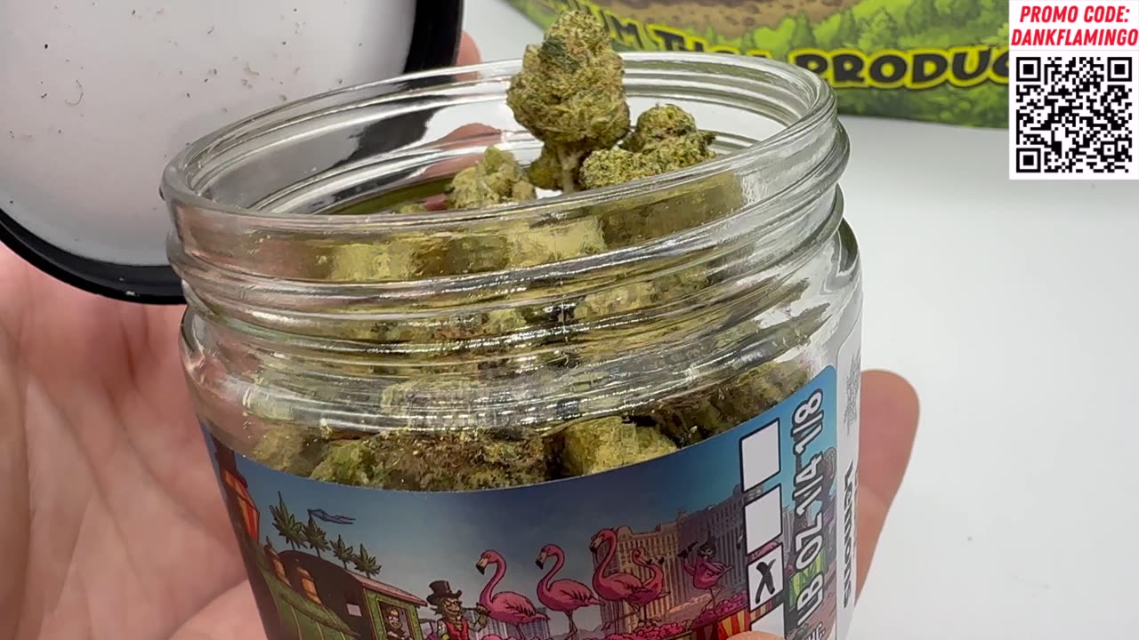 The Ultimate DANK Test/ Punch vs Lemons vs Dynasty from TSB! Dankin with the Flamingos Review!!