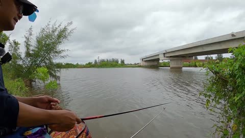 Lamprey Fly Fishing in River Cold Springs