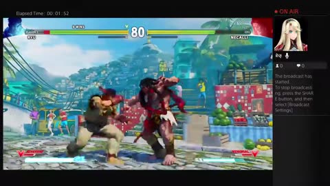 Street Fighter V Battle19