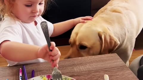 What Happens If You Feed Your Dog ALL Your Food? 🐶😱 Viral Experiment Gone Wrong