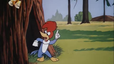 Woody Woodpecker and Friends - 1971x11 - The Snoozin' Bruin