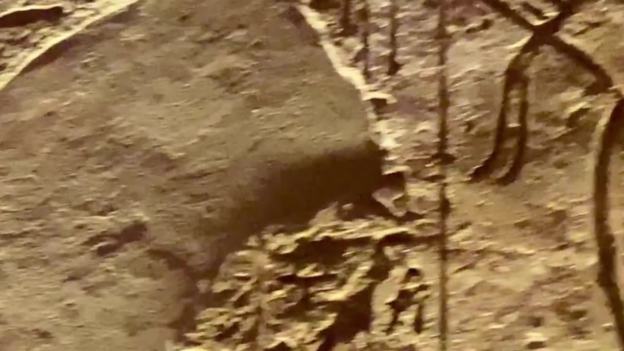 Inside Abu Simbel: Battle of Kadesh Carvings of Ramses II