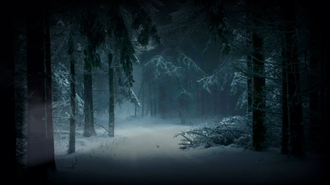 The Woods Dark Deep in Snow