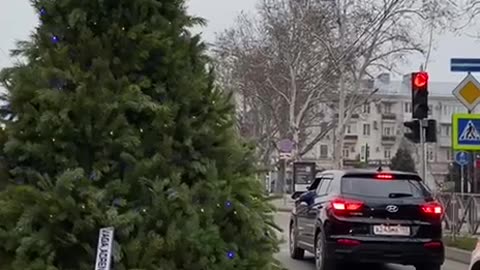 Christmas Tree Transportation