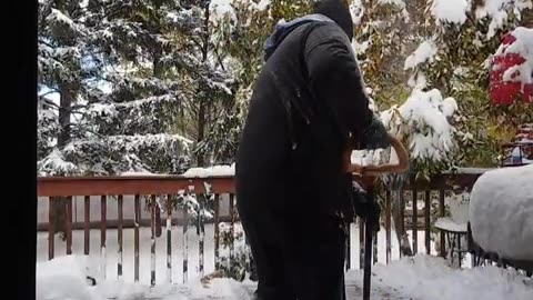 fatty demon pig - 2025 - YT - USA - November 11th or November 10th in USA part 001