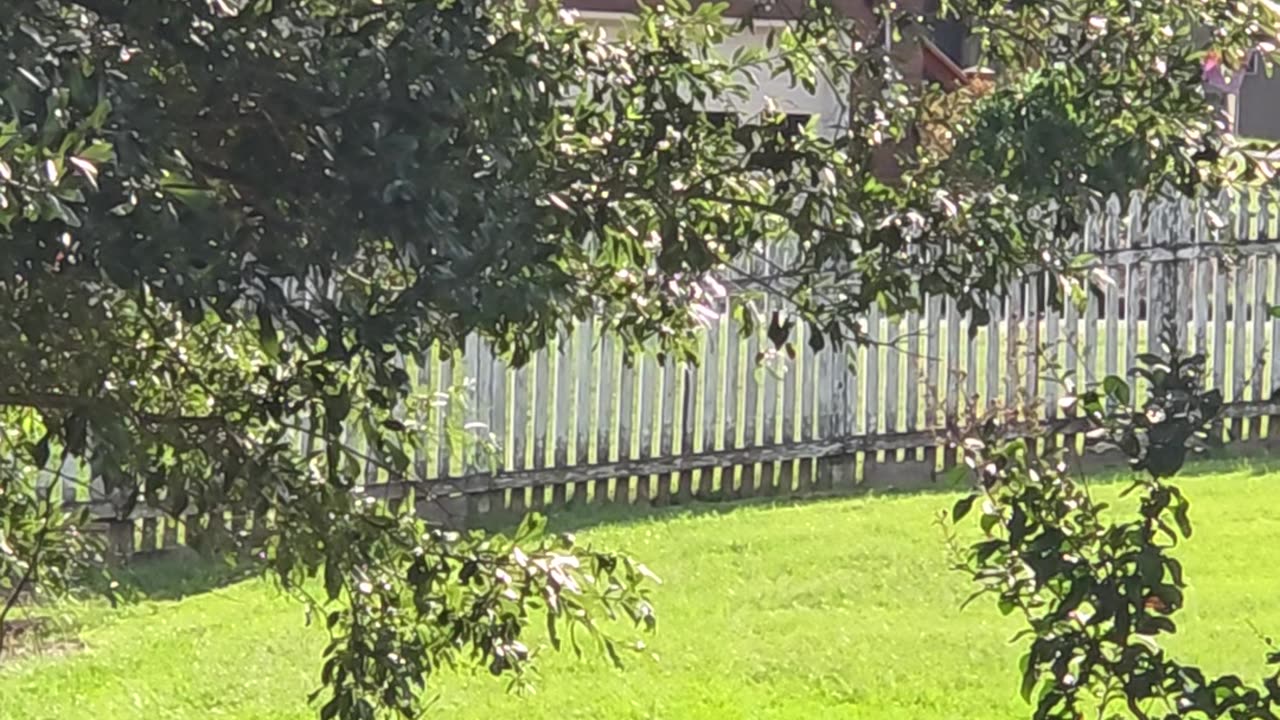 Noise assaults evidence KEITH WORKS FOR THE CITY, CYBERTORTURED