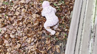 Bird’s-Eye View: Baby Kayla’s Tiny Tumble & Giggles | Safe Family Clip