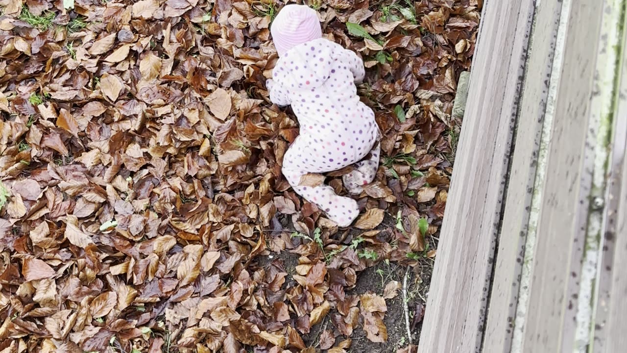 Bird’s-Eye View: Baby Kayla’s Tiny Tumble & Giggles | Safe Family Clip