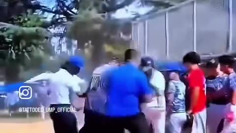 😂⚾ When Arguing Balls and Strikes Goes HILARIOUSLY Wrong! | FunFM