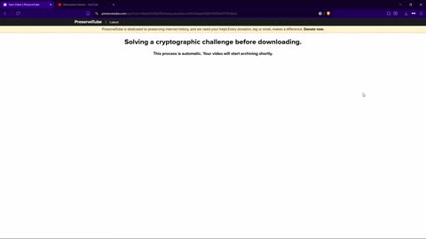 A PreserveTube Guide (or Tutorial)