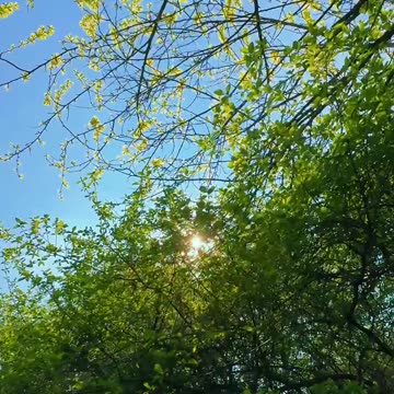 Beautiful Day: Parco Nord Milan. #sunyday