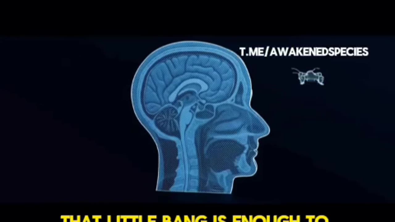 Palm Sized Death Drones Used To Selectively Kill