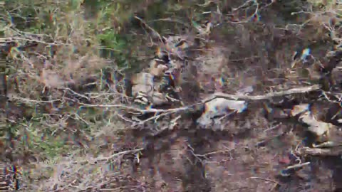 Ukraine war combat footage 11/9/25