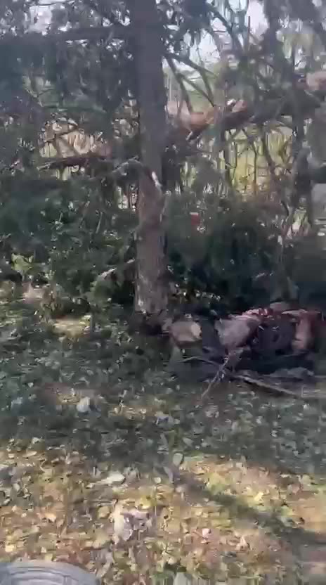 Russian Glide Bomb Dropped On Village of Yarova in Donetsk, Killing Dozens