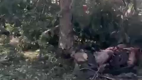 Russian Glide Bomb Dropped On Village of Yarova in Donetsk, Killing Dozens
