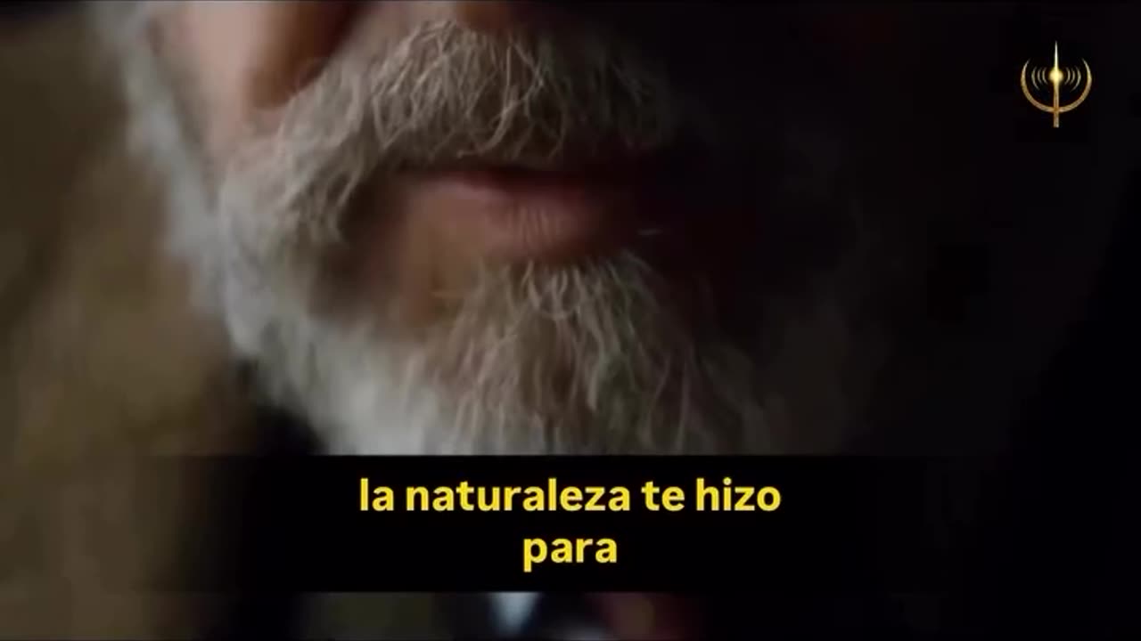 El fin de los hombres