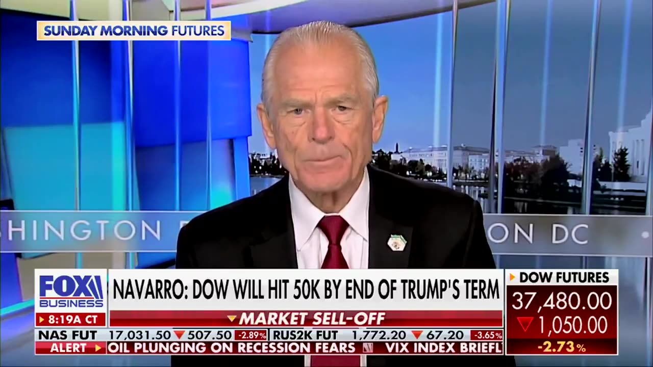 Peter Navarro on stock market⚡ Right now the smart strategy is NOT TO PANIC