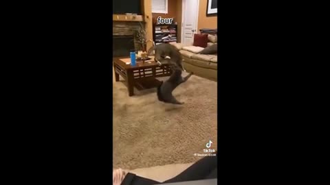 Need a laugh here and there ;)