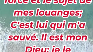 « Le Seigneur, ma force et mon chant » Exode 15:2.#shortvideo #youtubeshorts #ytshorts #shorts #yt