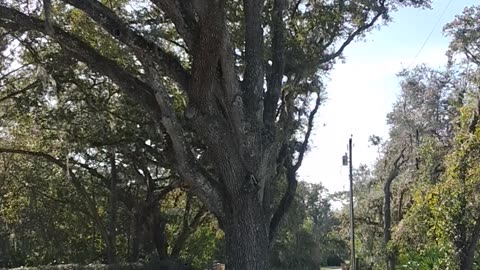 Some properties are so nice