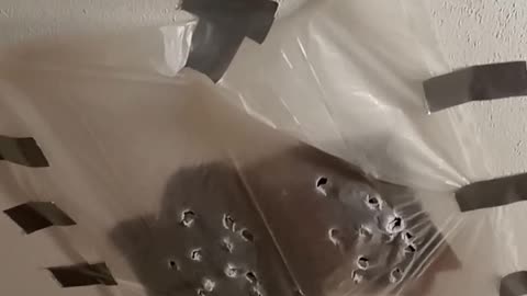 Slumlord (Bensonhurst Dentist)