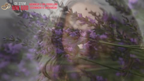 Hoje eu entendi o motivo real do que eu tô sentindo… doeu — Deus, revela a verdade e me cura