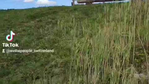 NWO im Berner Seeland Teil 2
