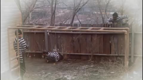 022. A Christmas Story (1983) - Ralphie's Cowboy Daydream Scene Movieclips